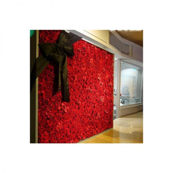 red flower wall for hire