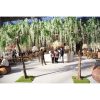 Wisteria Wedding Tree Hire