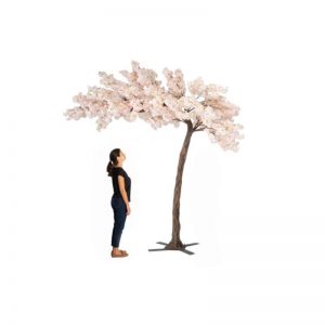 11 ft cherry blossom tree hire