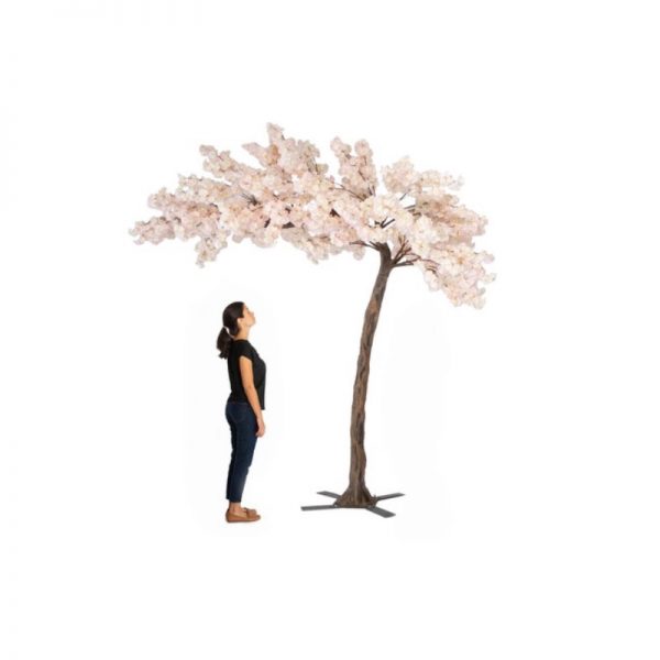 11 ft cherry blossom tree hire