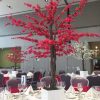 cherry blossom tree hire