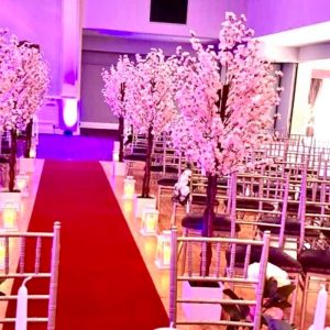 5ft Pink Blossom Tree Hire